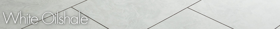 Camaro 2331 White Oilshale Example