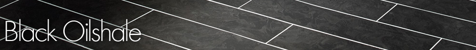 Camaro 2340 Black Oilshale Example