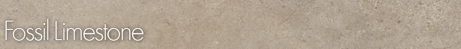 Colonia 4537 Fossil Limestone Example